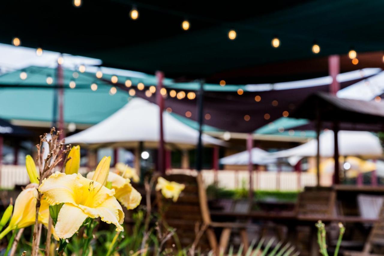 The Bearded Dragon Boutique Hotel Mount Tamborine Buitenkant foto